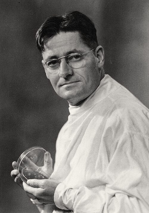 Howard Florey, 1930s